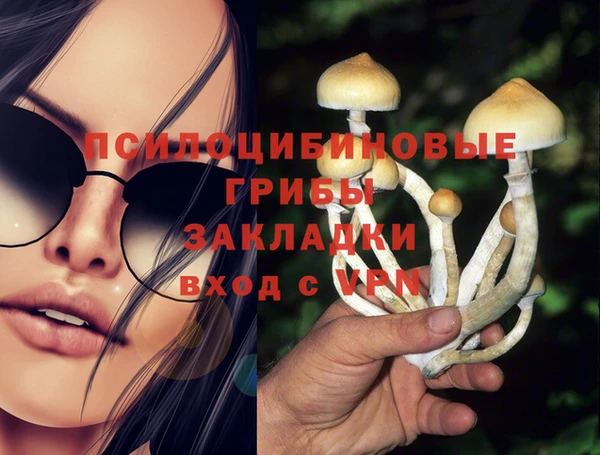 прущие крисы Арсеньев