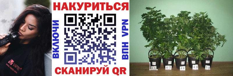 Каннабис тримм  Верея 